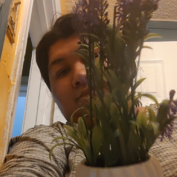 Fake Plants - Picture 3 of 6